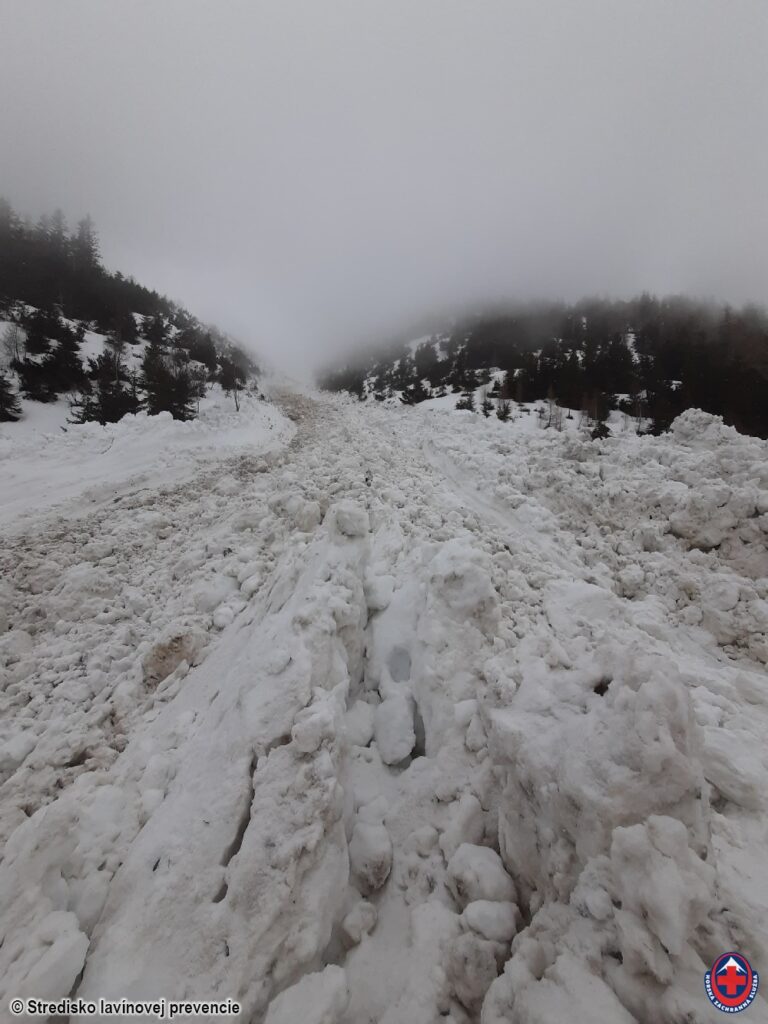 11.3.2024, Západné Tatry, Nános lavíny z Jaloveckého sedla skoro dosiahol prístupovú cestu na Žiarsku chatu