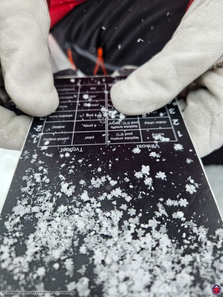 2026-01-13,Západné Tatry, nový sneh - hexagonálna štruktúra vločiek