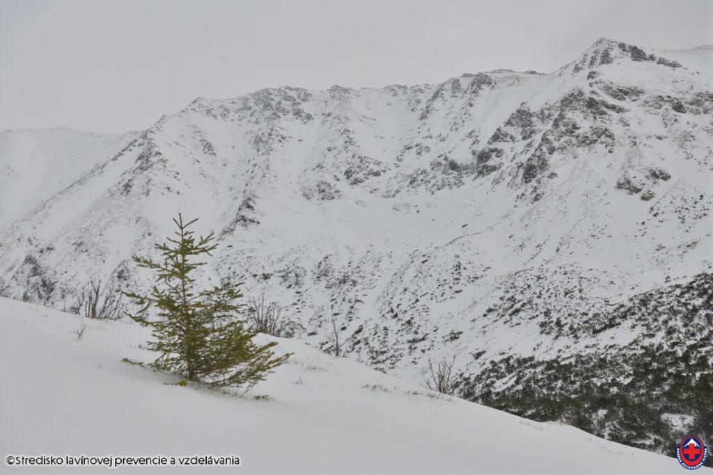 2026-01-14, Západné Tatry, Nižná Bystrá, Gáborová dolina